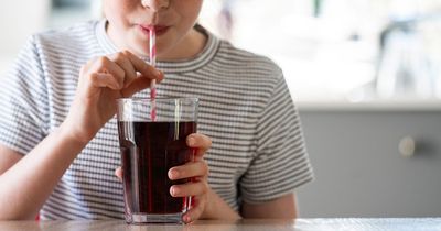 Humans' Diet Coke addiction linked to rising anxiety due to artificial sweetener