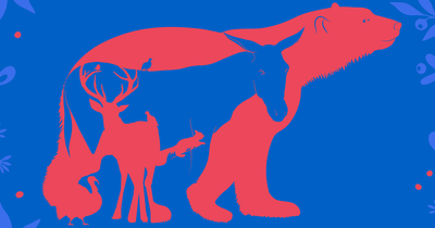 Christmas optical illusion asks which animal you spot first in a bid to determine personality