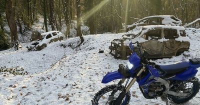 Police stumble across eerie snow-covered 'stolen car graveyard' in hidden woodland