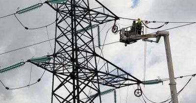 Electric Ireland customers to receive €50 credit as company to forgo profits