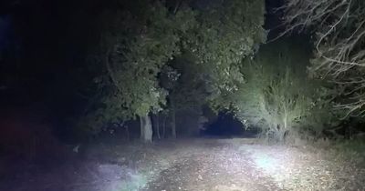 Dog walker spots 'demon ghost' crawling across 'haunted' path in park