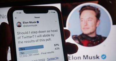 Elon Musk says he will ‘abide’ by results of Twitter poll as users vote for him to ‘step down’