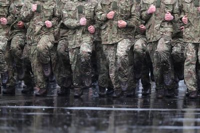 Reservist role could be stepped up for some crises, says ‘resilience’ report