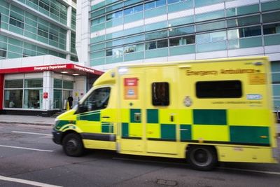 Ill Londoners not at risk of dying ‘should make own way to hospital on ambulance strike day’