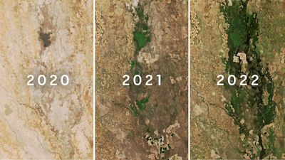 The pitfalls of managing water in the Murray-Darling in worsening climate extremes