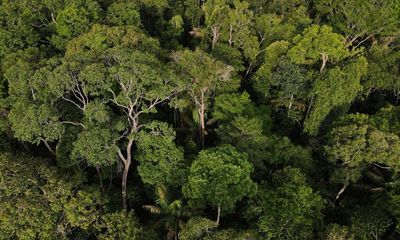 The Guardian view on the Cop15 agreement: nations must do more for nature