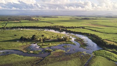 Million-dollar project aims to restore saltwater wetlands at Mungalla Station near Ingham