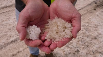 North Queensland salt harvest hit hard by wet weather, production at one site down 40 per cent