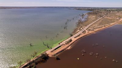 Blue-green algae behind bad smell at Lake Bonney after levee cuts it from River Murray