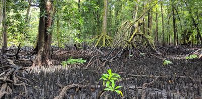 5,700 years of sea-level change in Micronesia hint at humans arriving much earlier than we thought