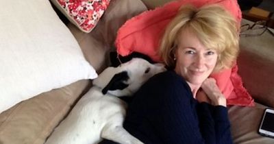 Mum dies after being hit by motorbike while walking dog