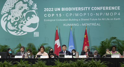 A third of the earth to be kept for nature by 2030. What deals were done at COP15?