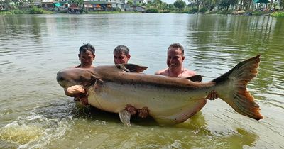 British angler catches whopping 30-stone catfish after 'fight of his life' in Thailand