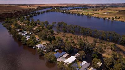 River Murray closed to all non-essential activity during flood event from SA border to Wellington