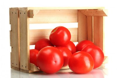 New study indicates tomatoes help with gut health