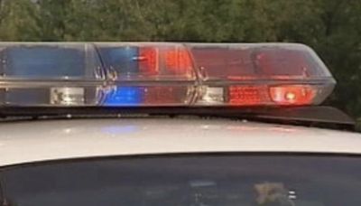 4 teens held after crashing stolen car sought in North Side stickups