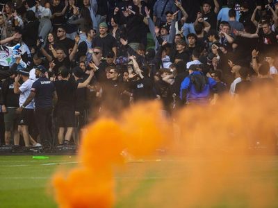 Victory ALM pitch invaders given life bans