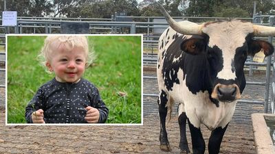 Bega Valley farming community rallies to help little Hugo seek medical treatment in UK