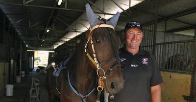 Inter City Pace champion I'm Quick As Fire returns for second crack at title