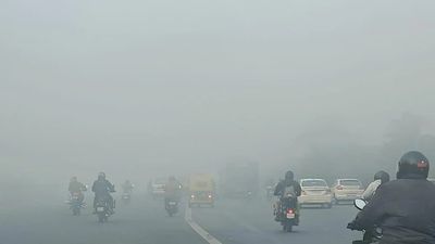 Weather Update: Dense Fog, Low Visibility Engulf North India