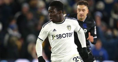 Leeds United's scouting department may have a new darling based on latest glowing endorsement