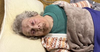 The face of a 93-year-old left 'screaming in pain' during 25-hour wait for ambulance