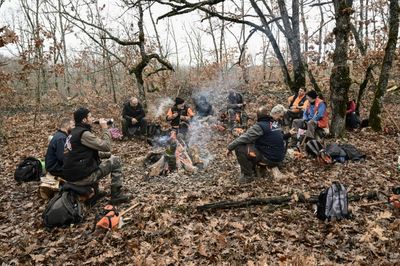 Greek woodcutters give energy crisis the chop