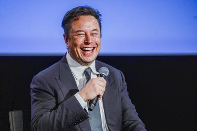 Elon Musk suggests only Twitter Blue users can vote on changes