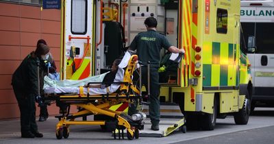 Tory Health Minister tells Brits to avoid 'risky activities' during ambulance strike