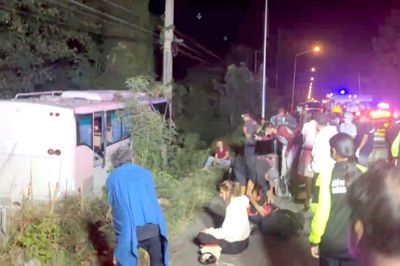 11 foreign passengers hurt in bus accident