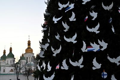 Russia won't 'steal' Christmas: Kyiv mayor unveils festive tree