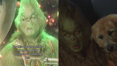 As If The Grinch Costume Couldn’t Get Any Worse A TikToker’s Spotted A Truly Cursed Wardrobe Fail