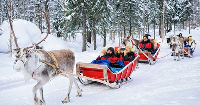 'I work in Lapland at Christmas - there's one important trait you need to get the job'