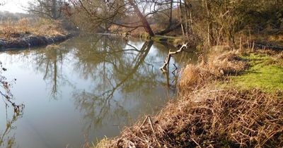 ‘Urgent action needed’ to tackle untreated sewage entering the River Frome