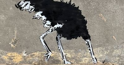 Artist behind 'Banksy' artworks linked to 'toxic' beach row unmasked