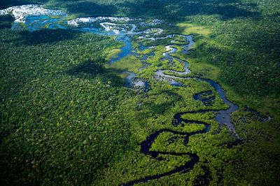 Seven reasons to be cheerful about the Amazon in 2023 – and three to be terrified