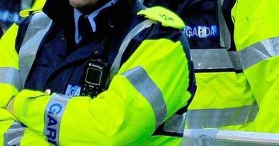 Stolen car ploughs into Garda and carries him for a distance in shocking scenes in Wexford