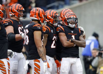 Bengals behind just one team in Week 16 power rankings