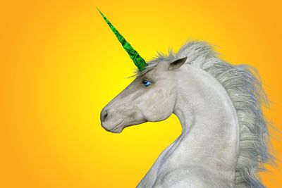 Billion-dollar beauties: Unicorn companies and if you should invest