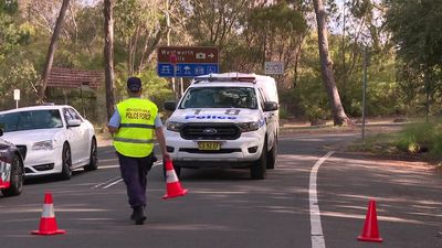 Man arrested over alleged murder of Sydney woman Dannielle Finlay-Jones