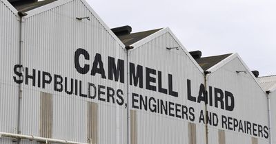 Cammell Laird records £4.4m losses after cutting 146 jobs