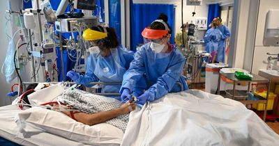 Covid can spread from dead bodies in 'zombie' infection, alarming new studies reveal