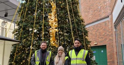 How a Derry Christmas tree is helping people stay connected to their loved ones