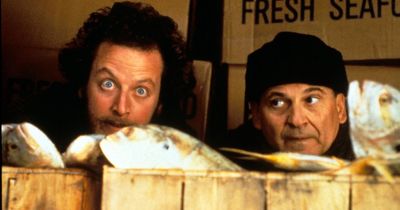 Home Alone burglar Marv actor Daniel Stern is unrecognisable as he sports white beard