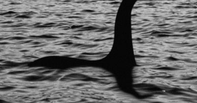 Loch Ness Monster 'spotted' just seven times this year as Nessie experts tighten rules