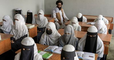 Taliban officially criminalises university-level education for women in Afghanistan