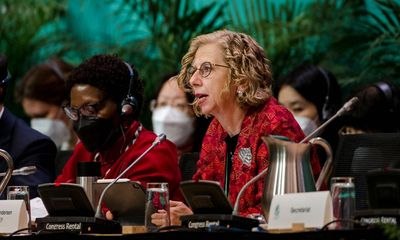 ‘Embrace history’: UN environment chief calls for immediate action on Cop15 deal
