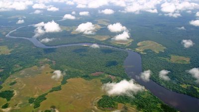 Why the Congo plays a critical role in saving the world's biodiversity