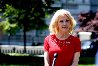 Alarm over Kellyanne Conway's $1M+ deal