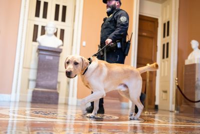 As threats rise, Congress agrees on extra money for Capitol Police - Roll Call